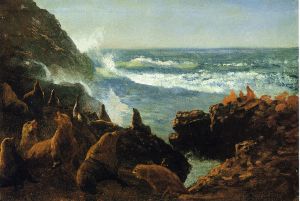 Sea Lions, Farallon Islands -  Albert Bierstadt Oil Painting