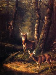 The Forest: Adirondacks - Arthur Fitzwilliam Tait Oil Painting
