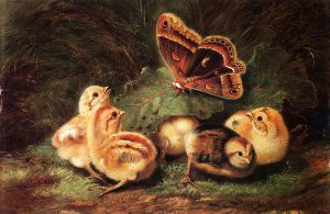 Young Chickens -   Arthur Fitzwilliam Tait Oil Painting