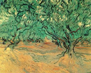 Olive Trees -  Vincent Van Gogh Oil Painting