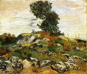 Rocks with Oak Tree -   Vincent Van Gogh Oil Painting