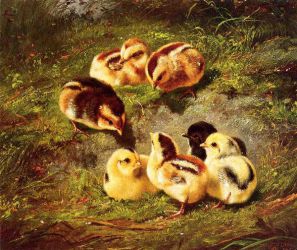 Chickens -   Arthur Fitzwilliam Tait Oil Painting