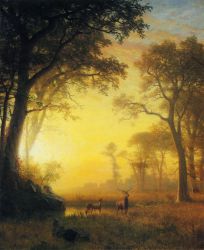 Light in the Forest -   Albert Bierstadt Oil Painting