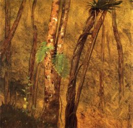 Plant Study, Jamaica, West Indies -   Frederic Edwin Church Oil Painting