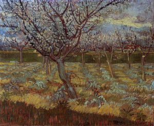 Apricot Tree in Bloom -  Vincent Van Gogh Oil Painting