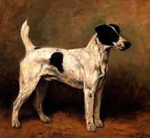 A Hound - Oil Painting Reproduction On Canvas