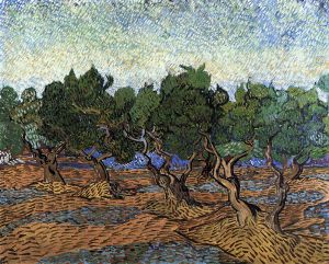 Olive Grove - Vincent Van Gogh Oil Painting