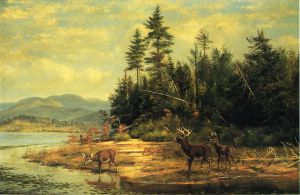View on Long Lake - Arthur Fitzwilliam Tait Oil Painting