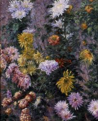 White and Yellow Chrysanthemums, Garden at Petit Gennevilliers - Gustave Caillebotte Oil Painting