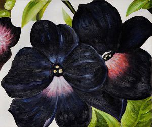 Black and Purple Petunias -  Georgia O\'Keeffe Oil Painting