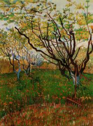 Orchard in Bloom V -   Vincent Van Gogh Oil Painting