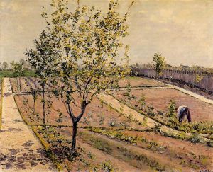 Kitchen Garden, Petit Gennevilliers - Gustave Caillebotte Oil Painting