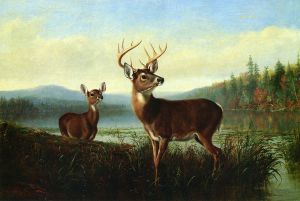 On the Alert -  Arthur Fitzwilliam Tait Oil Painting