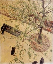 Boulevard Seen from Above -   Gustave Caillebotte Oil Painting