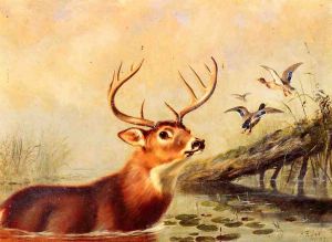 Buck in a Marsh -Arthur Fitzwilliam Tait Oil Painting