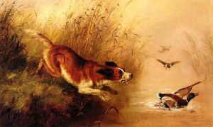 Spaniel Chasing Ducks -   Arthur Fitzwilliam Tait Oil Painting