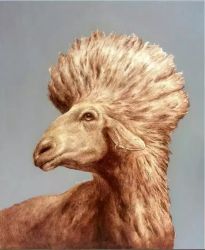 The head of a animal Oil Painting