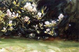 Magnolias -   John Singer Sargent Oil Painting