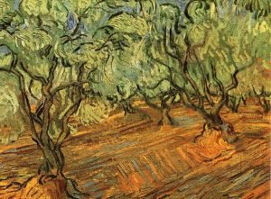 Olive Grove: Bright Blue Sky V -  Vincent Van Gogh Oil Painting