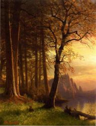 Sunset in California-Yosemite -  Albert Bierstadt Oil Painting