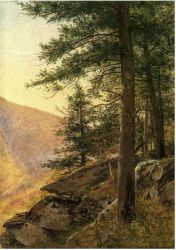 Hemlocks in the Catskills - Thomas Worthington Whittredge Oil Painting
