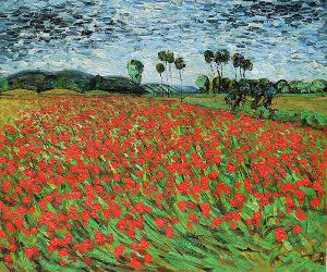 Field of Poppies - Vincent Van Gogh Oil Painting