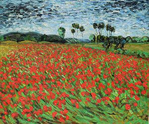 Field of Poppies -  Vincent Van Gogh Oil Painting