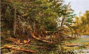 The Outlet of St. Regis Lake - Arthur Fitzwilliam Tait Oil Painting