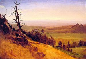 Nebraska Wasatch Mountains -   Albert Bierstadt Oil Painting