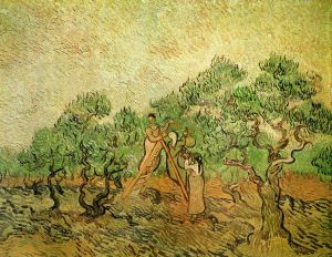 Olive Picking -  Vincent Van Gogh Oil Painting