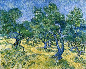 Olive Grove II - Vincent Van Gogh Oil Painting