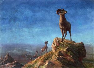 Rocky Mountain Big Horns -   Albert Bierstadt Oil Painting