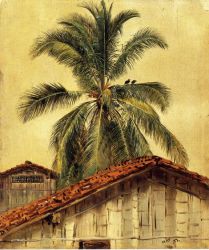 Palm Trees and Housetops, Ecuador -   Frederic Edwin Church Oil Painting