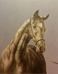 The head of horse - Oil Painting
