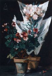 Still Life wit Potted Geraniums - Alfred Stevens Oil Painting