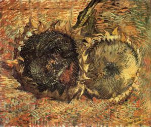 Still Life with Two Sunflowers V -   Vincent Van Gogh Oil Painting