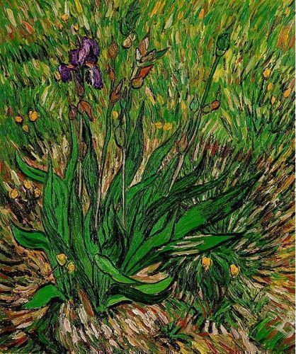 The Iris II -  Vincent Van Gogh Oil Painting