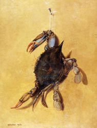 Crab - Oil Painting Reproduction On Canvas