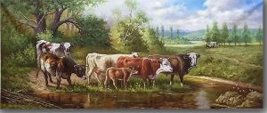 The rest cattle